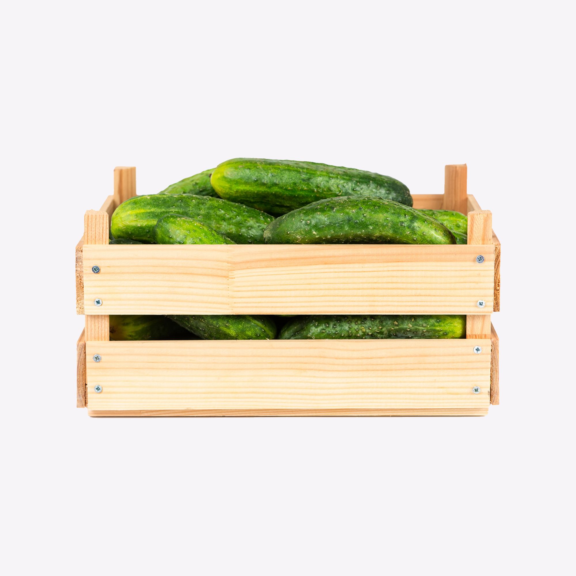 freshcrate-product-gallery7