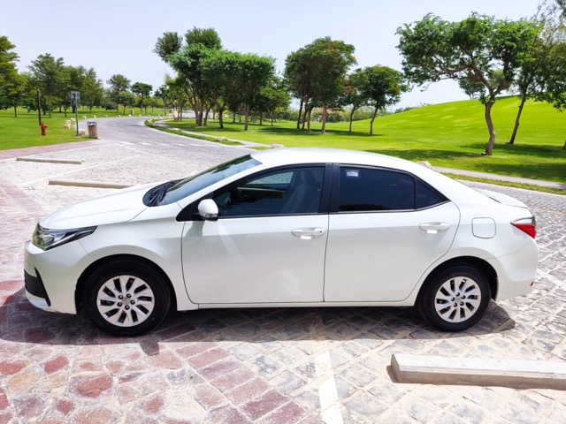 corolla (8) Medium
