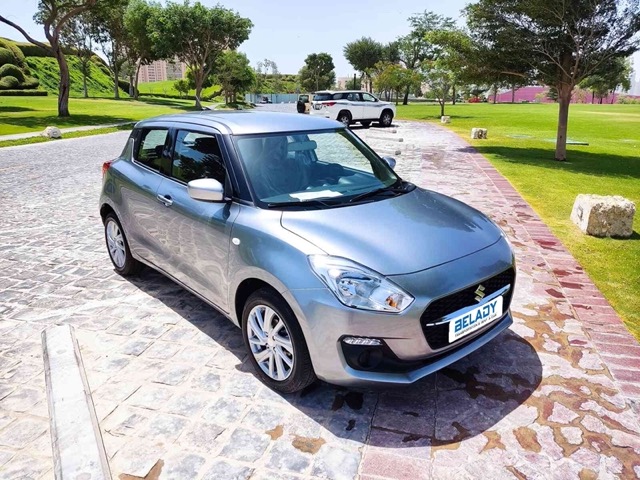 swift grey (2) Medium